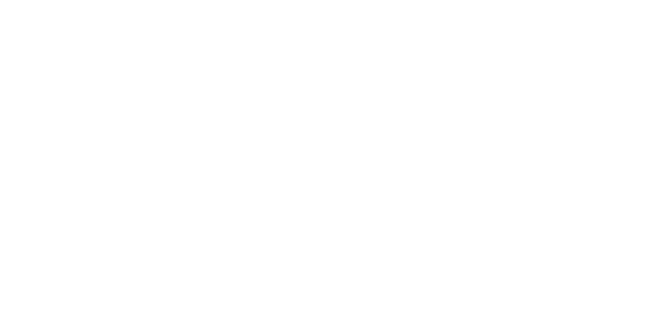 에이스 게이밍 logo